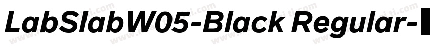 LabSlabW05-Black Regular字体转换